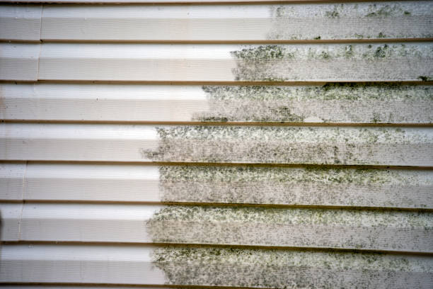 How To Choose The Right Materials for Your Siding Installation in 'Gretna, NE