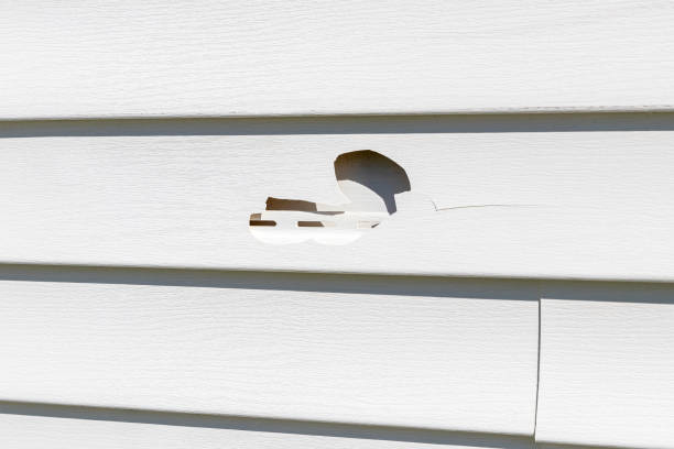 Best Siding Painting and Refinishing  in Gretna, NE